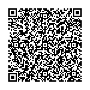 Деловые линии Грозный Коперника, 3 контакты qr