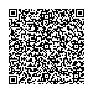 Дети на паркете Воронеж ул. Южно-Моравская 15Б контакты qr