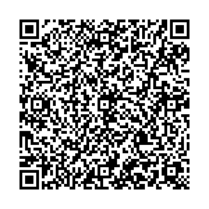 Диана Дзержинский Лесная ул., д.18 контакты qr