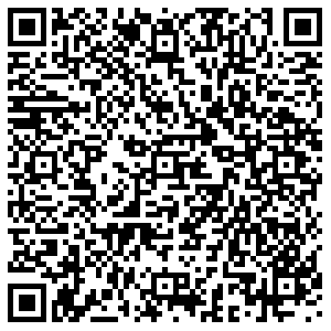 Divizion Бирск Мира, 21 контакты qr