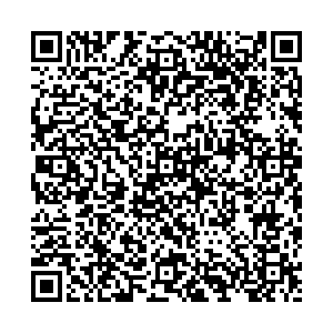 Дикси Воскресенск ул.Зелинского, д.3 контакты qr