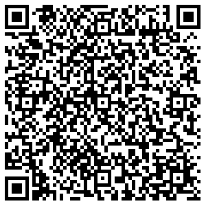 Дикси Тула ул.Вильямса, д.12 контакты qr