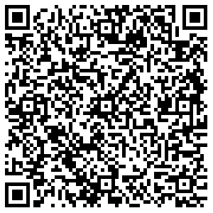 Дикси Коломна Октябрьской революции, 336 контакты qr