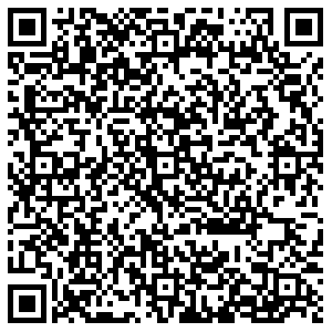 Дикси Челябинск 250-летия Челябинска, 69 контакты qr