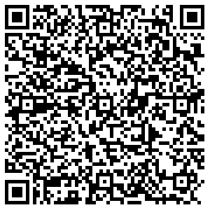 Дикси Кировск Пионерская, 10 контакты qr