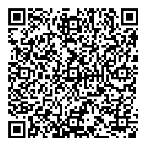 Дикси Тула Майская, 5а контакты qr