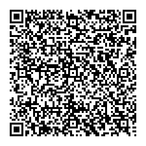 DMI/Дятьково Альметьевск Советская ул., 147 А контакты qr