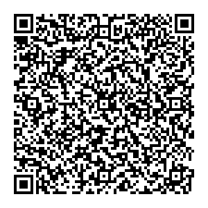 DMI/Дятьково Кириши Романтиков ул., 4 контакты qr