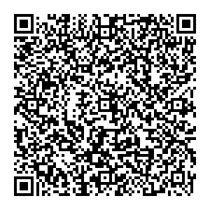 DMI/Дятьково Мурманск Кольский пр-т, 178 контакты qr
