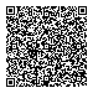 DMI/Дятьково Пенза Баумана ул., 30 контакты qr