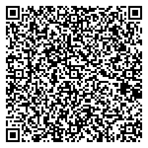 DMI/Дятьково Санкт-Петербург Новолитовская ул., 15, Д корп., 2 эт., 238-240 сек. контакты qr