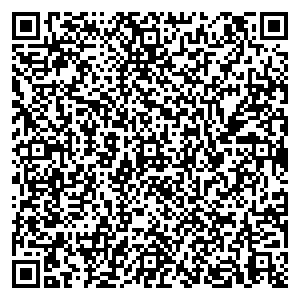 DMI/Дятьково Нижний Новгород Гордеевская ул., 7, 1 эт. контакты qr