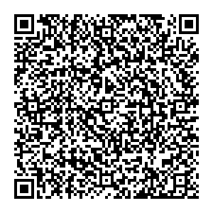 DMI/Дятьково Саратов Чернышевского ул., 1, 2 эт. контакты qr