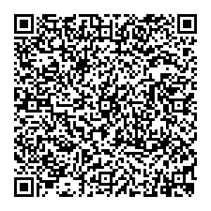 DMI/Дятьково Липецк Балмочных ул., 11 контакты qr