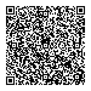 DMI/Дятьково Липецк Шерстобитова ул., 1 контакты qr