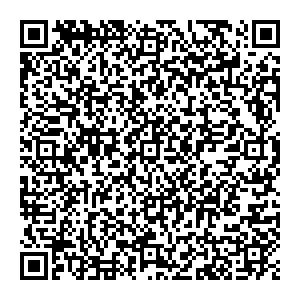 DMI/Дятьково Липецк Балмочных ул., 15 контакты qr