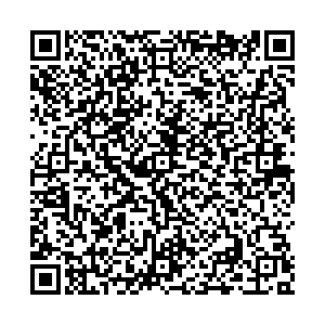 ДНС Алапаевск ул. Ленина, 8/1 контакты qr