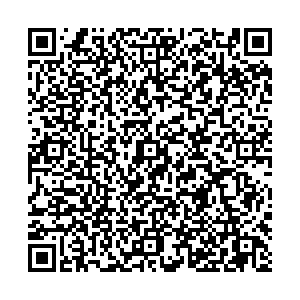 ДНС Георгиевск ул. Салогубова, 10 контакты qr