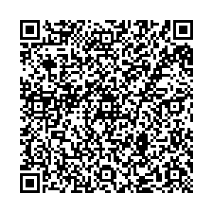 ДНС Колпино Тверская ул. 36/9 контакты qr