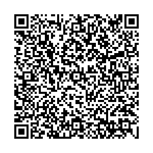 ДНС Кыштым пл. Карла Маркса, д. 4 контакты qr