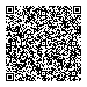 ДНС Северодвинск ул. Железнодорожная, 41/33 контакты qr