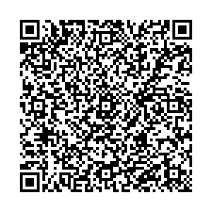 ДНС Пенза пр. Строителей, д. 49а контакты qr