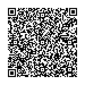 ДНС Тольятти ул. Льва Яшина, д. 16 контакты qr