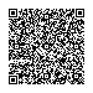 ДНС Псков ул. Кузбасской дивизии,д 19 контакты qr