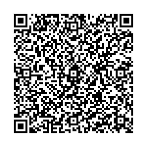 ДНС Щелково ул. Талсинская,д. 2 контакты qr