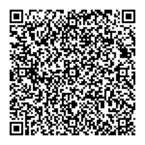 ДНС Нижний Новгород Богородск, Центральный переулок, 2 контакты qr