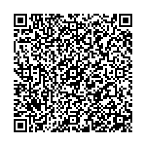 ДНС Тольятти ул. Революционная, д. 52а контакты qr