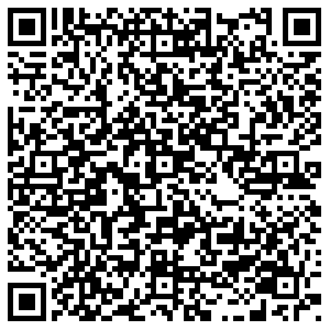 ДНС Чебаркуль ул. Мира д. 17 А контакты qr