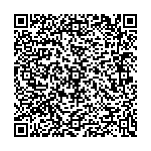 ДНС Москва Московский, Никитина, 2 контакты qr