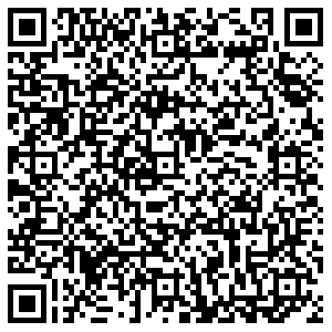 ДНС Москва Видное, Берёзовая, 4 контакты qr