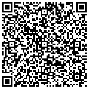 ДНС Казань проспект Победы, 141 контакты qr