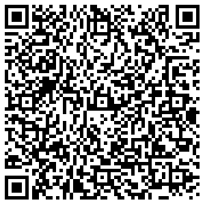 ДНС Уфа Ферина, 19 контакты qr