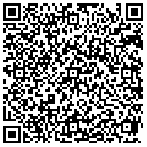 ДНС Челябинск Мамина, 15 контакты qr