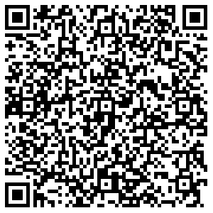 ДНС Воронеж Загоровского, 1 контакты qr