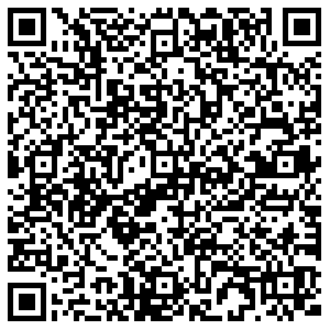 ДНС Воронеж Димитрова, 131 контакты qr