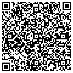 ДНС Воронеж Тепличная, 4а контакты qr