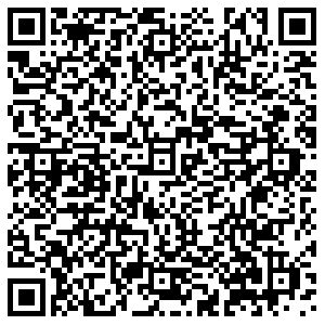 ДНС Воронеж Олеко Дундича, 17 контакты qr