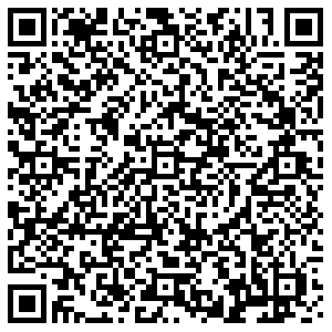 ДНС Воронеж Челюскинцев, 101 контакты qr