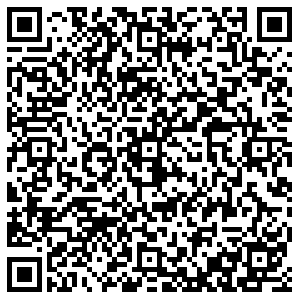 ДНС Воронеж Домостроителей, 45 контакты qr