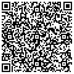 ДНС Воронеж Кривошеина, 13/13 контакты qr