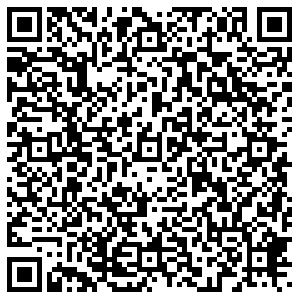 ДНС Москва Снежная, 26 контакты qr