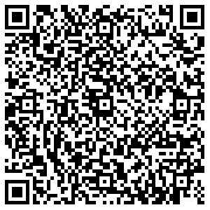 ДНС Одинцово Чикина, 1а контакты qr