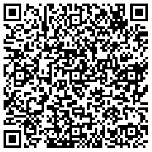 ДНС Тольятти Революционная, 20 контакты qr