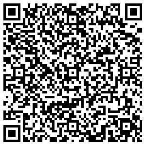 ДНС Ульяновск Рябикова, 21 ст1 контакты qr