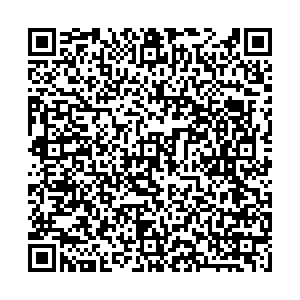 ДНС Снежногорск Павла Стеблина, 2/3 контакты qr