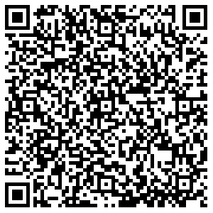 ДНС Полярный Лунина, 3 контакты qr